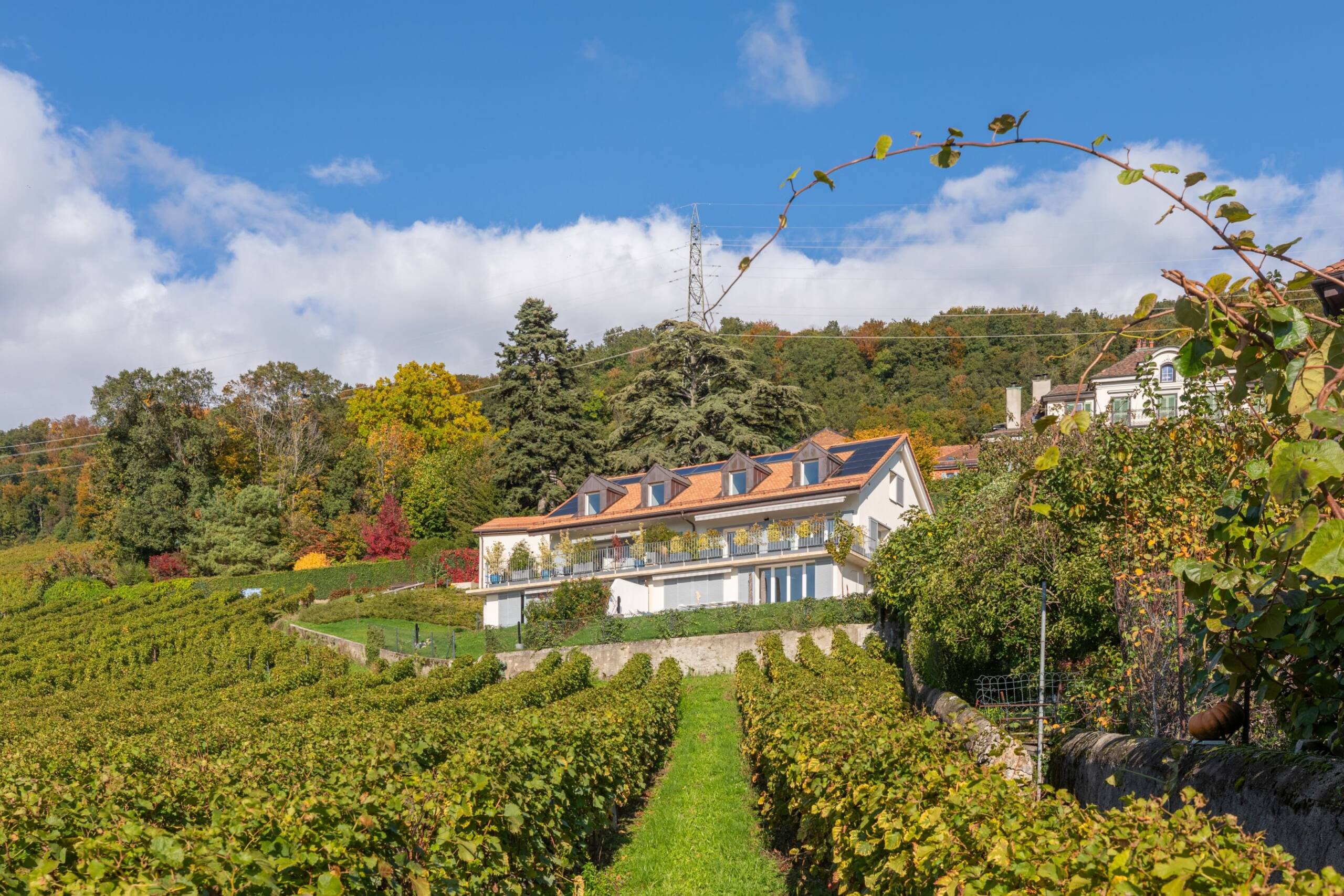 IMMEUBLE-Chemind-de-Luins-3-Vinzel-HD-2