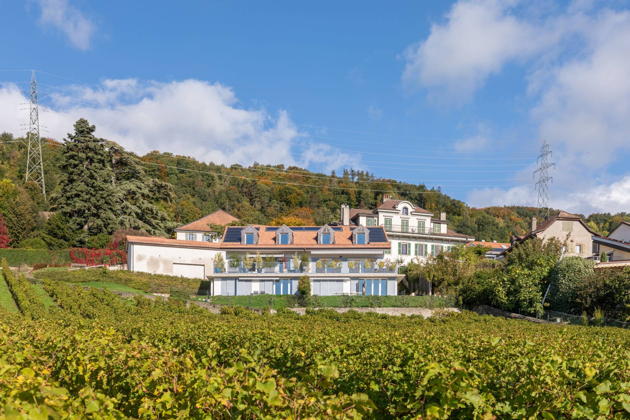 IMMEUBLE-Chemind-de-Luins-3-Vinzel-HD-3